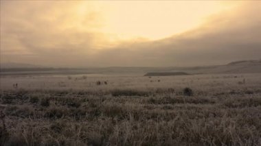 Soğuk kış sabahlarında Waverley Gölleri 'nin üzerinde insanların gölün etrafında sabah yürüyüşü yaptığı güzel bir hava görüntüsü.