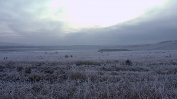 Prachtige luchtbeelden over Waverley Meren tijdens een koude ijzige winters ochtend met mensen die een ochtendwandeling rond het meer maken — Stockvideo