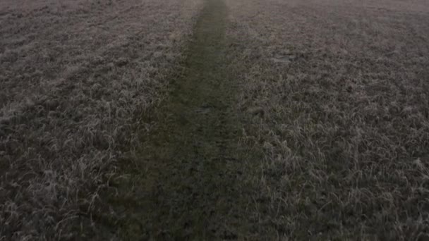 Prachtige gouden luchtfoto onthullen van Waverley Meren tijdens een koude ijzige winters ochtend met mensen die een ochtendwandeling rond het meer — Stockvideo