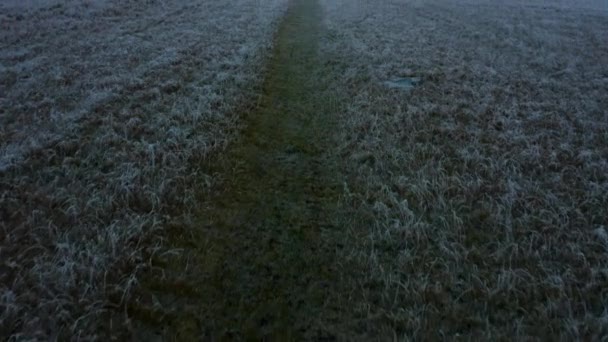 Bela revelação aérea aérea de Waverley Lakes durante uma manhã fria de invernos gelados com as pessoas fazendo um passeio matinal ao redor do lago — Vídeo de Stock