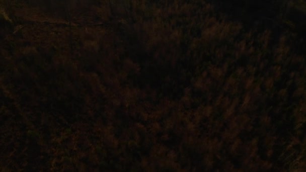 Letecký odraz klidného klidného jezera Agden Reservoir při západu slunce nad vesnicí Bradfield v Sheffieldu, národním parku Peak District, Yorkshire a Derbyshire, Velká Británie. Prosinec 2019. — Stock video