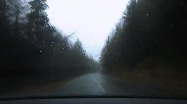 Ciara Fırtınası, Şubat 2020 'de ormanlarda ve kırsal yollarda tehlikeli bir şekilde araba sürerken bir Gopro' da kaydetti.