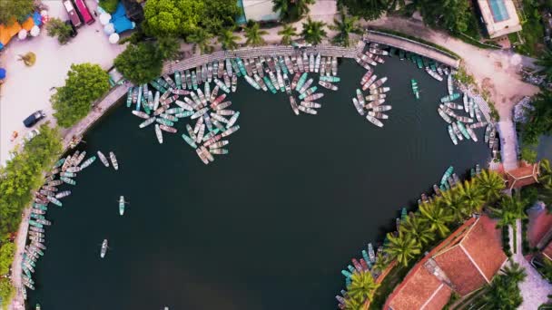 Top down aerial view of rowing boats taking tourists around the sights of Ninh Binh, Northern Vietnam near the small village of Tam Coc. October 2019 — Stock Video