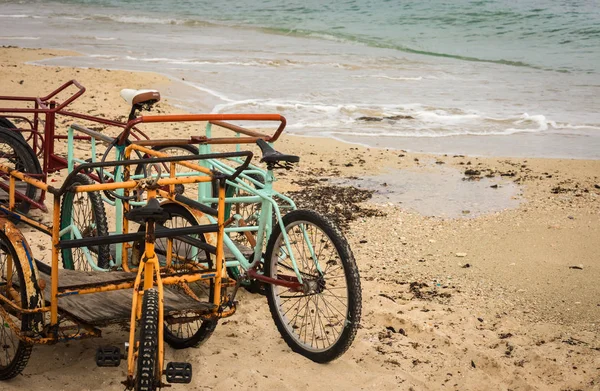 Cozumel beach Bisiklet sepeti