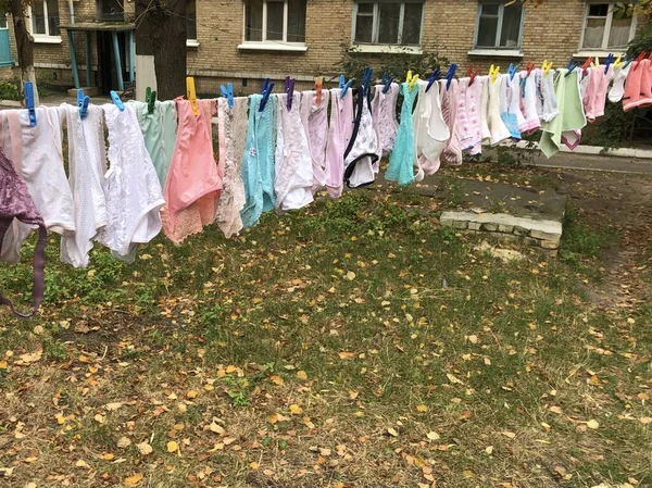 Underwear is drying on the street. Women's underpants hang on a — Stock Photo, Image