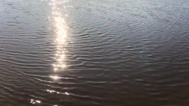 Sol Verão Refletido Água Raios Sol Brilham Nas Ondas Lago — Vídeo de Stock