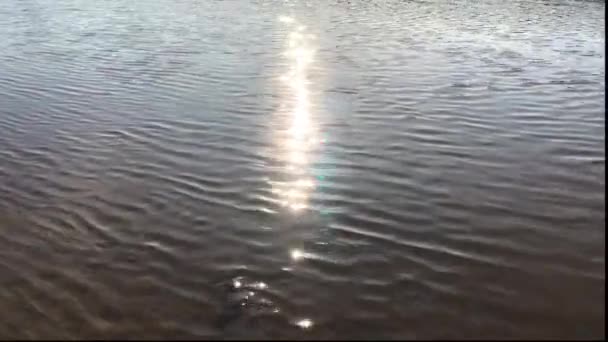 Zomerzon Wordt Weerspiegeld Vanuit Het Water Stralen Van Zon Schijnen — Stockvideo