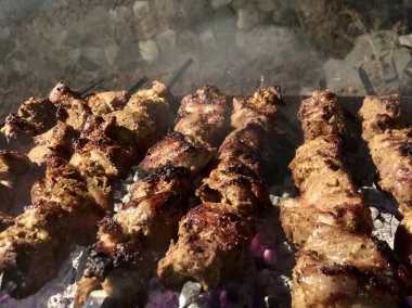 Izgarada ızgara yapıyorum. Izgarada kömür, şişte et ve barbekü. Doğada piknik, ateşte pişen tavuk, ateşten çıkan duman. Siyah arka planda kızarmış domuz parçaları.