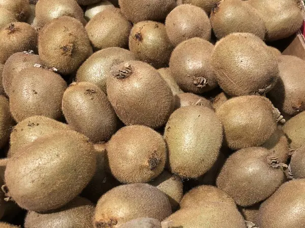 Textura de fundo: frutos inteiros de kiwi maduro. Um monte de kiwi verde em uma prateleira da loja. Frutos exóticos ricos em vitaminas . — Fotografia de Stock