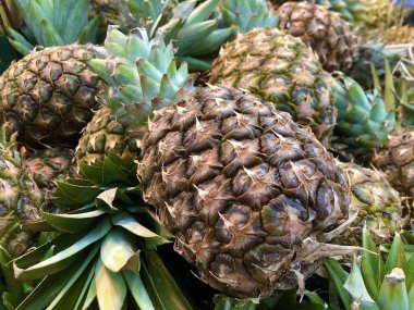 Arkaplan dokusu: olgun, lezzetli ananaslar. Market rafında egzotik meyveler. Ananas mevsimi, hasat zamanı. Kavram: sağlıklı beslenme, meyve diyeti, vitaminler.