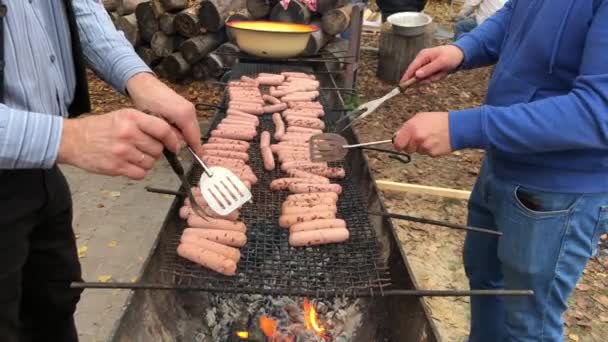 火のそばの会社とピクニック ステーキの肉ソーセージ 森の中の焚き火でソーセージを狩る — ストック動画