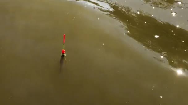 Pêche Flotteur Sur Eau Gros Plan Matériel Pêche Sur Lac — Video