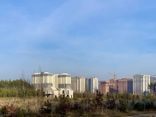 Mladé borovice na pozadí nových budov. Výstavba výškových budov mezi lesy. Koncept: růst města, odlesňování. — Stock fotografie