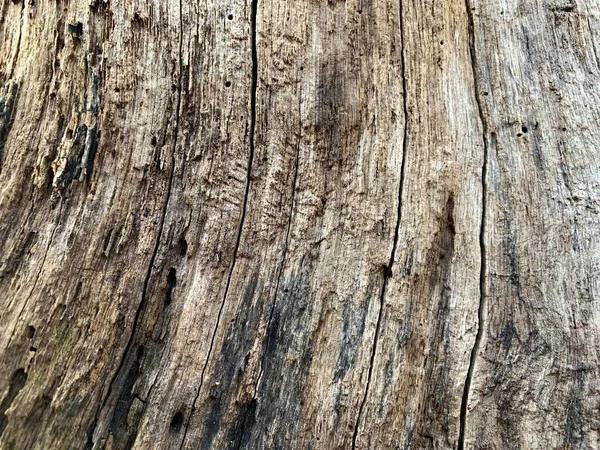 Arkaplan dokusu: çatallı eski bir kütük. Kesik ağaçta yuvarlak çizgiler. Bir ağaç gövdesinin kesiti, yapısı, büyüme halkaları. — Stok fotoğraf
