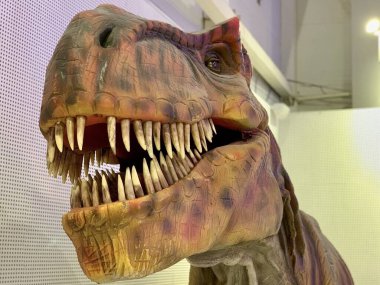 Ağzı açık bir dinozor kafası. Kocaman sivri dişli canavarlar. Korkunç bir tyrannosaurus figürü..