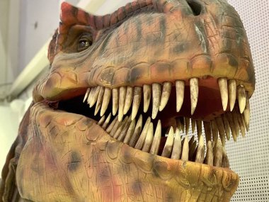 Ağzı açık bir dinozor kafası. Kocaman sivri dişli canavarlar. Korkunç bir tyrannosaurus figürü..