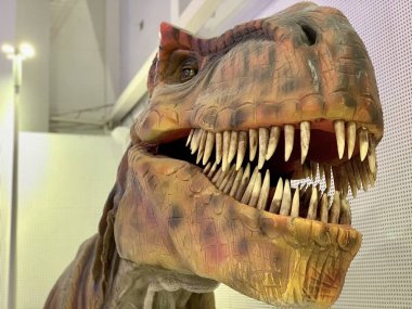 Ağzı açık bir dinozor kafası. Kocaman sivri dişli canavarlar. Korkunç bir tyrannosaurus figürü..