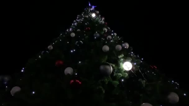 Grand Arbre Noël Décoré Sur Fond Noir Arbre Noël Avec — Video