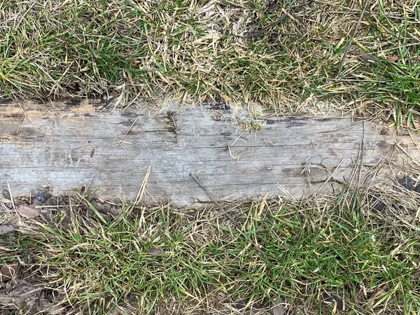 Textura de fundo: Placa velha na grama verde. Caminho coberto, uma prancha no chão . — Fotografia de Stock