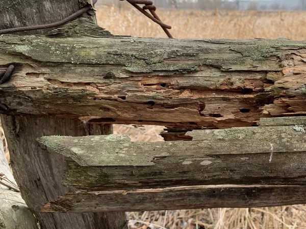 Régi, törött fa kerítés, közelről. Vidéki kerítés fából és huzalból. — Stock Fotó