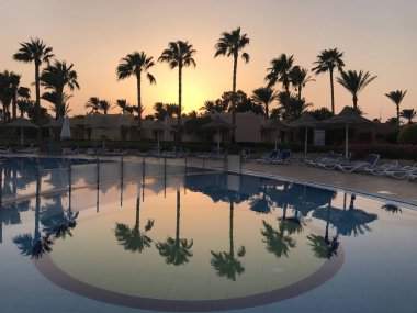 Mısır 'daki bir otelin havuzundaki palmiye ağaçlarının yansıması. Tropikal ağaçların arka planındaki havuzda temiz su. Nubian Köyü, Sharm El Sheikh.