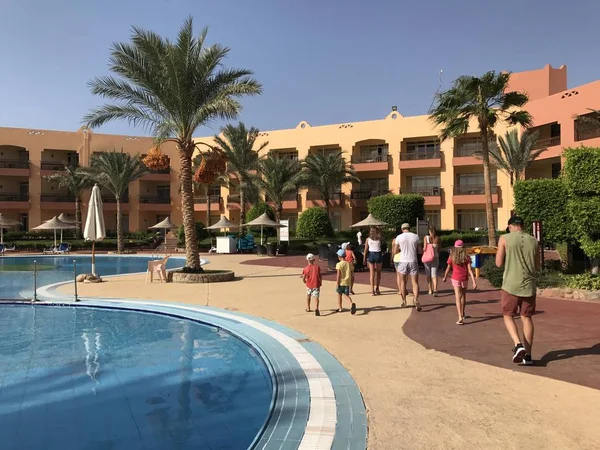エジプトのホテルで紅海のヤシの木。プールの近くの熱帯の木。エジプトのシャルム・エル・シェイクのプールを歩く人々. — ストック写真