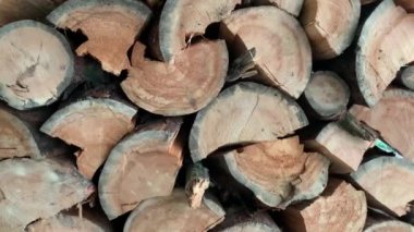 Yakacak odun ve kütükler bir arada. Katı yakıt olarak odun doğramak. Yuvarlak meşe kirişleri. Kavram: Kış için yakacak odun toplamak.