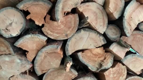 Brennholz Und Baumstämme Liegen Auf Einem Haufen Gehacktes Holz Als — Stockvideo