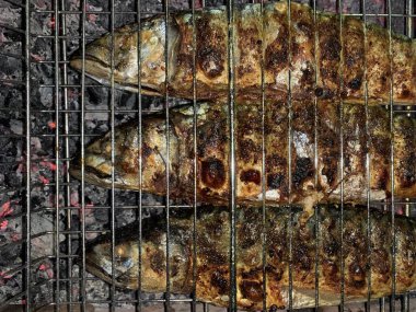 Kızarmış uskumru ateşte pişmiş. Izgarada baharatlı ızgara balık..