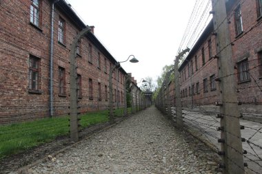 Barbed wire around a concentration camp. Prison Fence, maximum security colony. Auschwitz concentration camp, Poland
