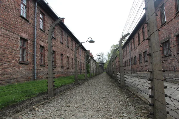 Alambre de espino alrededor de un campo de concentración. Valla de la prisión, colonia de máxima seguridad. Campo de concentración de Auschwitz, Polonia — Foto de Stock