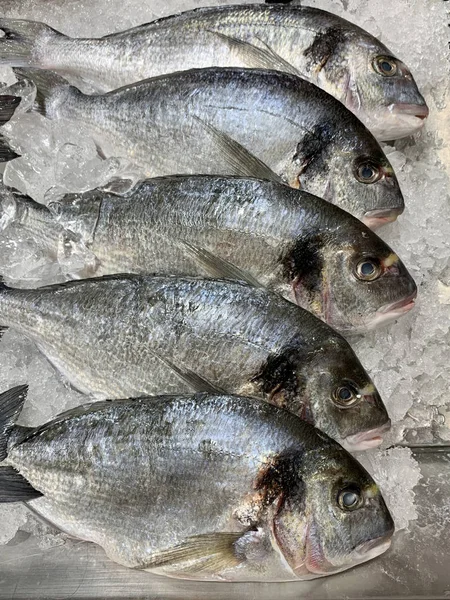 Bakgrundskonsistens Havsfisk Dorado Och Havsabborre Fiskräknare Snabbköpet Fryst Fisk — Stockfoto