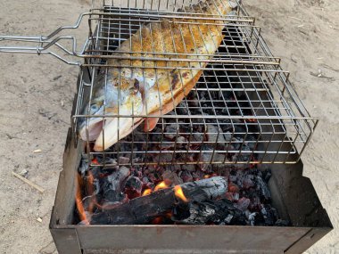 Piknik sırasında ızgara balık. Bahçede kömürde kızartılmış somon balığı. Büyük kırmızı balık ateşte pişiyor..