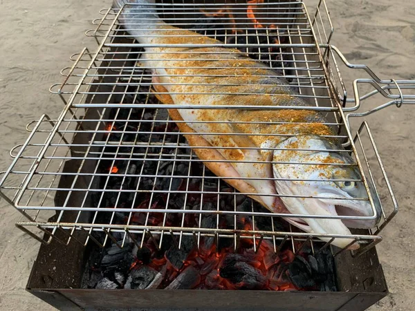 Grilling Fish Picnic Roasting Salmon Burning Coals Yard Big Red — Stock Photo, Image