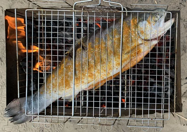 Grilla Fisk Picknick Rostade Lax Glödande Kol Gården Stor Röd — Stockfoto