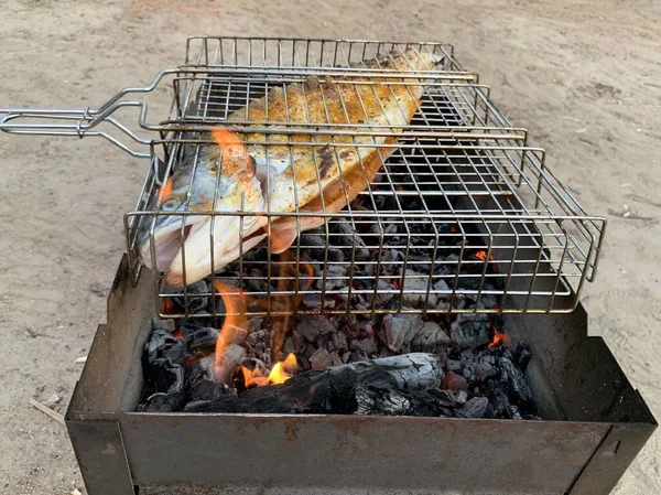 ピクニック中に魚を焼く 庭で石炭を燃やしているサーモンをローストする 火で調理された大きな赤い魚 — ストック写真