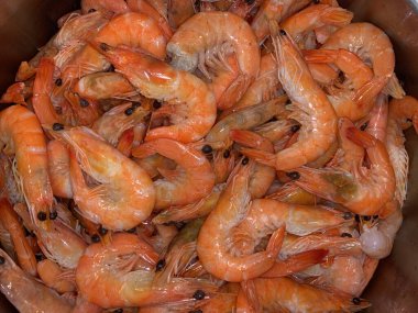 Metal kasede kaynamış karides. Büyük pembe bir karides tabakta yatıyor. Deniz lezzeti kavramı..