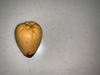 Avokado kemiği kalp şeklinde. Perseus Americana 'nın büyük tohumları. Egzotik bir bitkinin büyük kemiği..