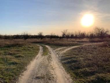 Mavi gökyüzüne karşı tarladan geçen yol. Köye giden yol çayırdaki ormanın yanından geçiyor. Çimlerin üzerinde araba ve araba izleri var. İki yolun kesiştiği yer, yol seçimi.