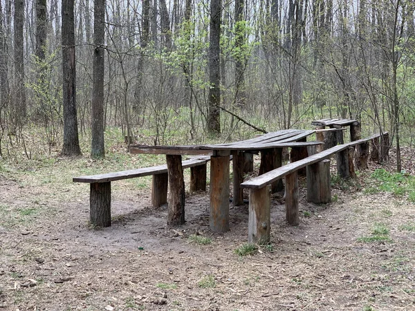 A table with benches in the spring forest, among the trees. Picnic place among nature in the park. A stopping point for travelers in the forest.