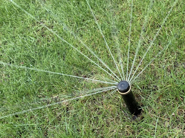 Sprinkler for watering the lawn. Automatic watering of green grass in the yard. Moisture for the growth of green cover in the park.