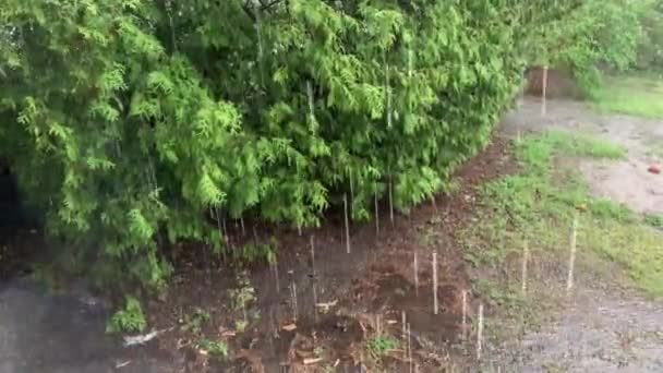 Kraftigt Regn Öser Gården Vårregn Skapar Pölar Åska Med Kraftigt — Stockvideo