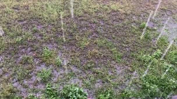 Zuhog Eső Udvaron Tavaszi Eső Pocsolyákat Teremt Mennydörgés Heves Esővel — Stock videók