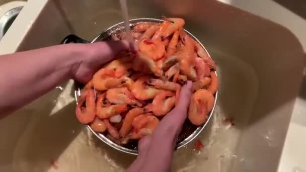 Boiled Shrimp Metal Bowl Large Sea Shrimp Washed Water Concept — Stock Video