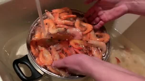 Boiled Shrimp Metal Bowl Large Sea Shrimp Washed Water Concept — Stock Video