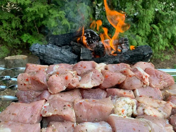 グリルでバーベキューを調理 グリルで石炭を燃焼 串に豚肉串 自然の中でピクニック 火で調理された肉 火から煙 — ストック写真
