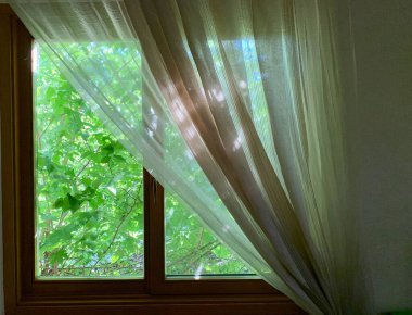 Pencerenin dışındaki güneşli bahar. Evin arka planında yeşil bitkiler var. Güneş ışınları evin pencerelerini delip geçiyor..