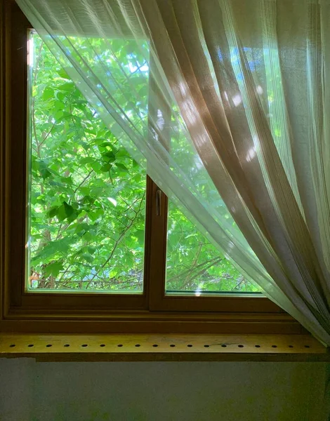 阳光灿烂的春天在窗外 房子的窗户上有绿色植物的背景 阳光透过窗户射进房子 — 图库照片