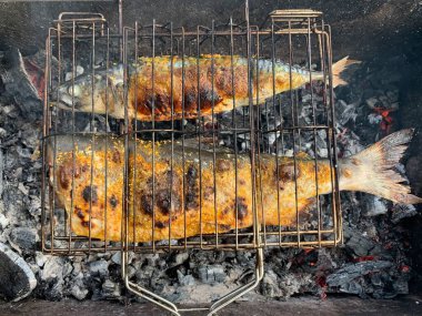 Piknik sırasında ızgara balık. Bahçede kömür üstünde somon ve uskumru kızartıyoruz. Pişmiş kırmızı balık ateşte pişiyor..
