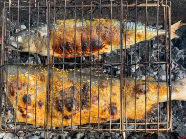 Piknik sırasında ızgara balık. Bahçede kömür üstünde somon ve uskumru kızartıyoruz. Pişmiş kırmızı balık ateşte pişiyor..